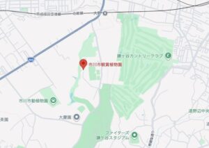 市川市観賞植物園の地図