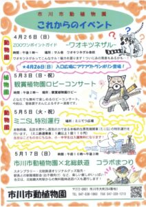市川市動植物園の2026年ゴールデンウィークイベント案内ポスター