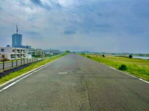 パークシティの桜から河津桜の葉桜を見た風景