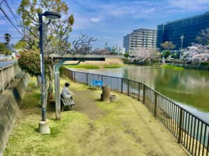 南側のベンチまわりと水辺の風景