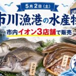 市川漁港の水産物が市内イオン3店舗で販売｜2026年5月2日に鮮魚売り場へ