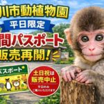 市川市動植物園の年間パスポートが平日限定で販売再開｜土日祝は引き続き中止