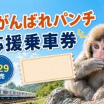 #がんばれパンチ応援乗車券が4月29日発売｜市川市動植物園のニホンザルを応援