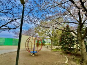 さくら堤公園の遊具と桜