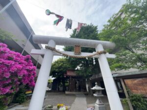 鯉のぼりが設置された市川南の宝神社境内と白い鳥居（2026年4月28日筆者撮影）