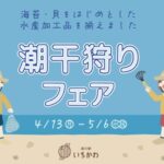 道の駅いちかわ 潮干狩りフェア 2026年4月13日から開催｜ホンビノス貝販売や海苔食べ比べも