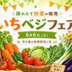 いちベジフェアが市川市八幡で2026年6月6日開催｜市川産の新鮮野菜と花を販売