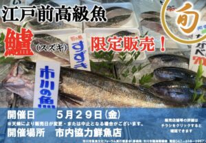 市川産江戸前高級魚スズキの販売概要