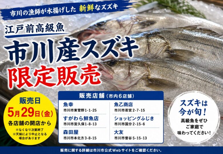 市川産の江戸前高級魚スズキが2026年5月29日に限定販売｜市内6店舗の鮮魚店で実施