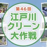 第46回江戸川クリーン大作戦が5月31日開催｜参加者にICHICO100ポイント付与