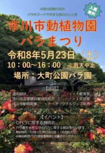 市川市動植物園バラまつりの開催日時や出店、バラの説明会などを知らせるポスター画像