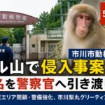 市川市動植物園のサル山で侵入事案|2026年5月17日に2名を警察官へ引き渡し・その後逮捕
