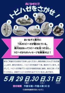 あいねすとで開催される「トビハゼをさがせ!」のイベントポスター、開催日は5月29日・30日・31日、受付時間は午前9時〜午後4時30分。