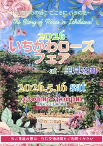 2026・いちかわローズフェアの告知ポスター。里見公園のバラ園写真を背景に、開催日が2026年5月16日(土)、時間が9:30〜15:00、雨天時は5月17日(日)に順延と記載されている。