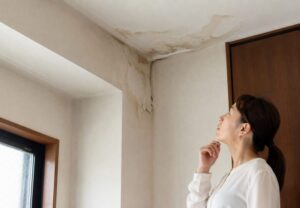 室内の天井と壁の角に広がった雨漏りのシミを女性が見上げて確認している写真
